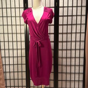 Banana Republic fuchsia dress, like new, perfect condition, size small.
